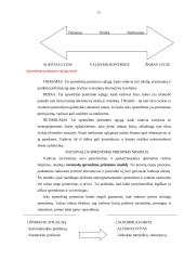 Sprendimų priėmimo teorija - medžiaga egzamino pasiruošimui 13 puslapis