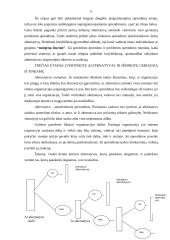 Sprendimų priėmimo teorija - medžiaga egzamino pasiruošimui 15 puslapis