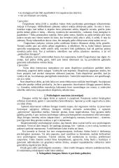 Sprendimų priėmimo teorija - medžiaga egzamino pasiruošimui 5 puslapis