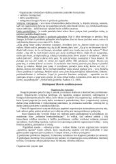 Sprendimų priėmimo teorija - medžiaga egzamino pasiruošimui 6 puslapis