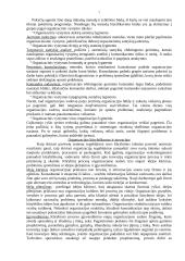 Sprendimų priėmimo teorija - medžiaga egzamino pasiruošimui 7 puslapis