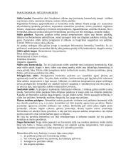 Statybinės medžiagos - betonas 7 puslapis