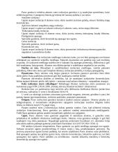 Statybinės medžiagos - betonas 10 puslapis