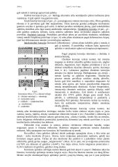 Statybinių metalų klasifikacija 15 puslapis