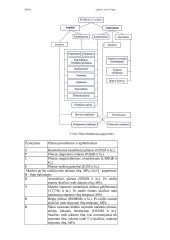 Statybinių metalų klasifikacija 6 puslapis