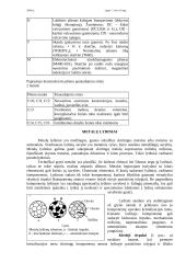 Statybinių metalų klasifikacija 7 puslapis