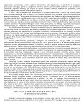 Strategija ir tikslai 2 puslapis