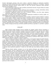 Strategija ir tikslai 3 puslapis