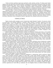 Strategija ir tikslai 4 puslapis