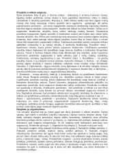 Tarptautinis protokolas ir etiketas