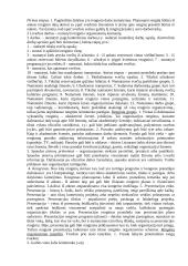 Tarptautinis protokolas ir etiketas 2 puslapis