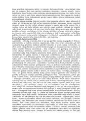 Tarptautinis protokolas ir etiketas 6 puslapis