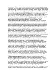 Teisė - statutų teorija 2 puslapis