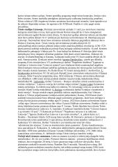 Teisė - statutų teorija 3 puslapis