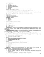 Civilinės teisės pagrindai  2 puslapis