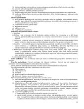 Civilinės teisės pagrindai  13 puslapis