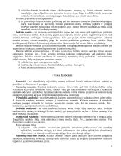 Civilinės teisės pagrindai  5 puslapis