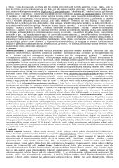 Civilinės teisės pradmenys 2 puslapis