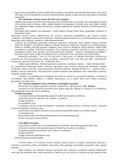 Civilinės teisės įvadas 19 puslapis