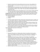 Teisės pagrindų klausimai 3 puslapis