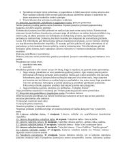 Teisės pagrindų klausimai 6 puslapis