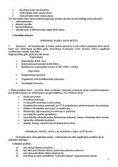 Teisės samprata, teisinis procesas 11 puslapis