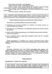 Teisės samprata, teisinis procesas 3 puslapis