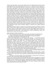 Valstybės ir teisės santykis 2 puslapis