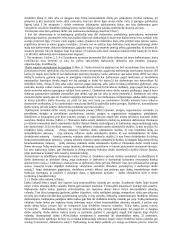 Valstybės ir teisės santykis 17 puslapis