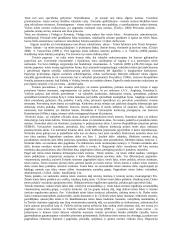 Valstybės ir teisės santykis 3 puslapis