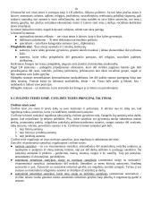 Teisės egzamino bilietai 10 puslapis