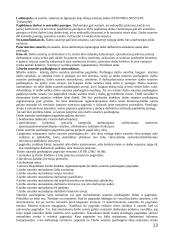 Teisės pagrindų teorija egzaminui 13 puslapis