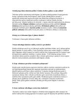 Tekinimo darbai 3 puslapis