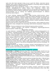 Urologija 17 puslapis