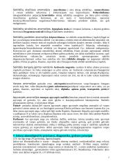 Urologija 7 puslapis