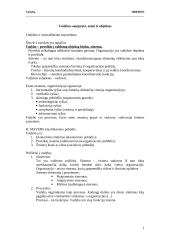 Vadybos ir menedžmento supratimas