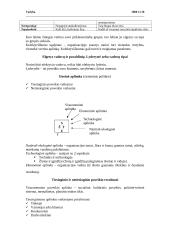 Vadybos ir menedžmento supratimas 9 puslapis