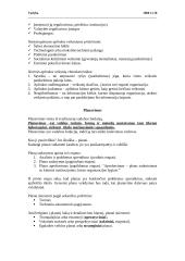 Vadybos ir menedžmento supratimas 10 puslapis