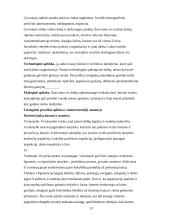 Vadyba ir komunikacija 13 puslapis