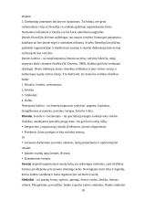 Vadyba ir komunikacija 18 puslapis