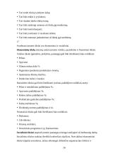 Vadyba ir komunikacija 20 puslapis