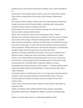 Vadyba ir komunikacija 3 puslapis