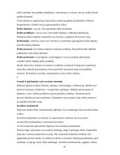 Vadyba ir komunikacija 10 puslapis