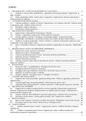 Vadybos pagrindai detaliai 2 puslapis