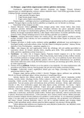 Vadybos pagrindai detaliai 11 puslapis