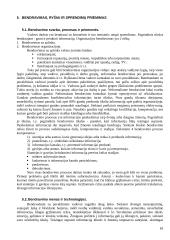 Vadybos pagrindai detaliai 16 puslapis