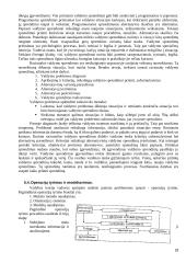 Vadybos pagrindai detaliai 18 puslapis