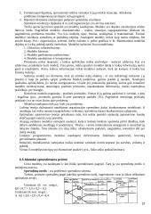 Vadybos pagrindai detaliai 19 puslapis