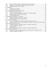 Vadybos pagrindai detaliai 3 puslapis