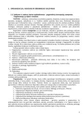 Vadybos pagrindai detaliai 4 puslapis